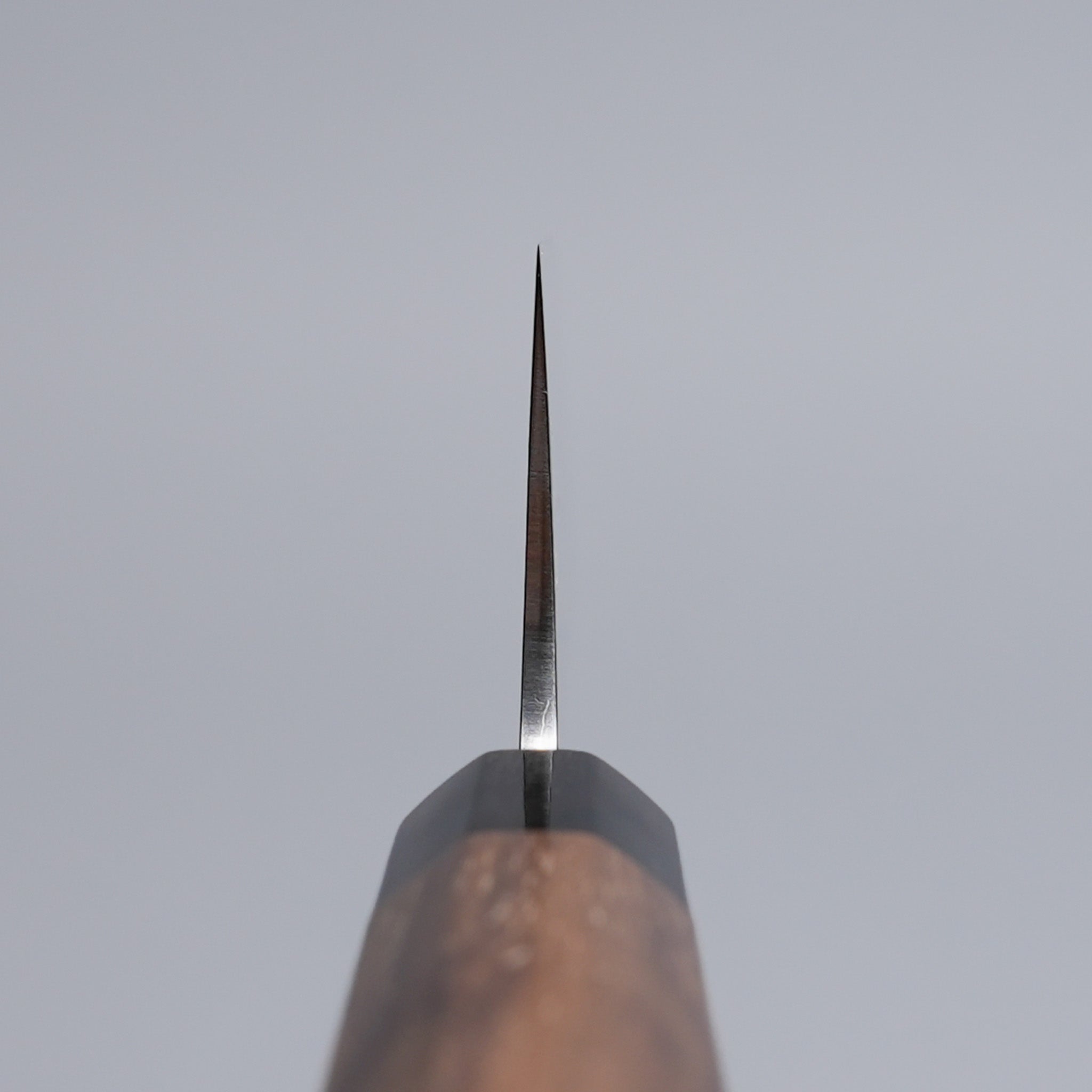 Choil shot of Sakoda Hamono Polished Aogami Super Gyuto 180mm on grey background