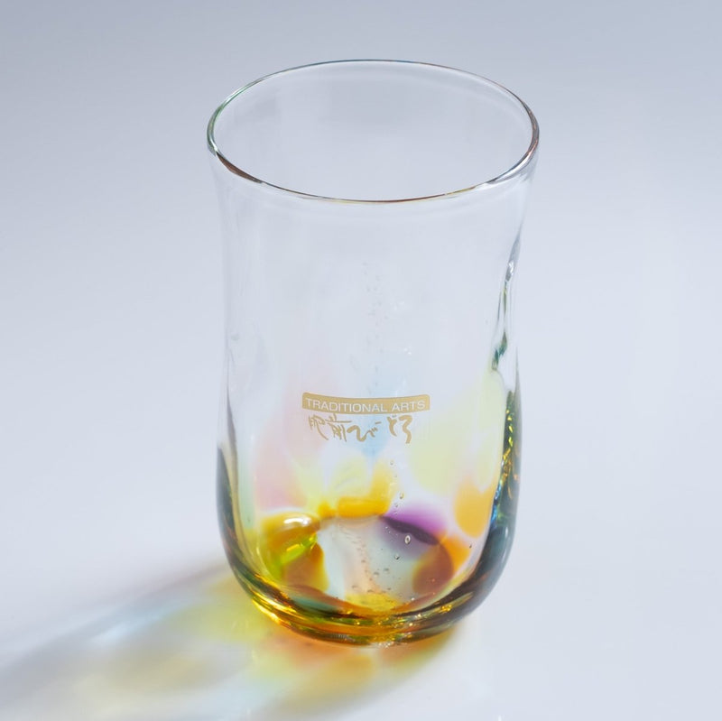 Soejima Glassware Handcrafted Beer Rainbow Glass