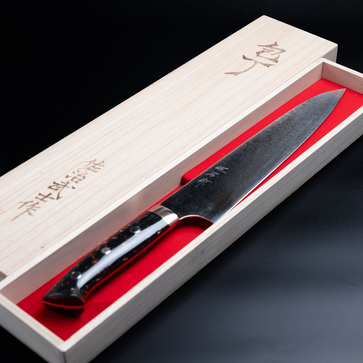 Takeshi Saji VG-10W Stainless Steel Gyuto 230mm