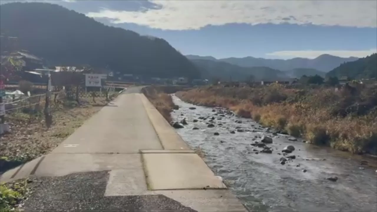 Process to create a Mockats Bento lunchbox from tree to table